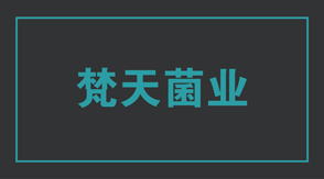 食品行业淮安工作服设计款式